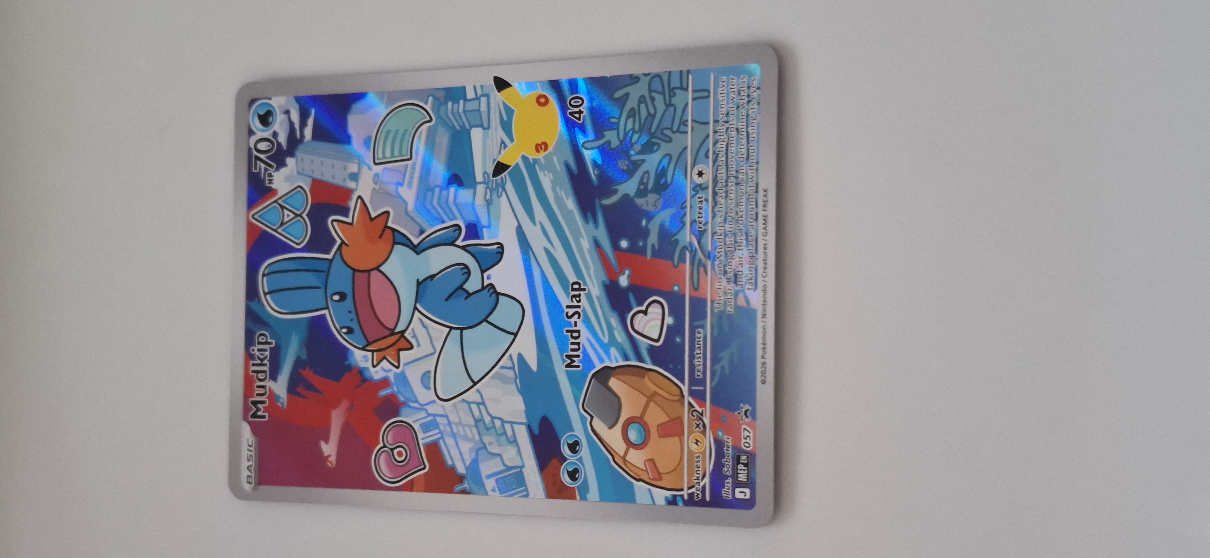 Forside av Mudkip